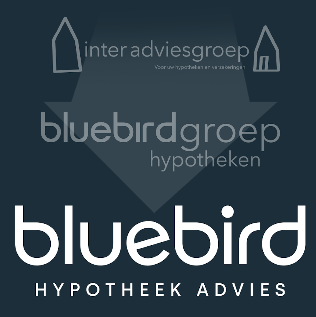 bluebird, bluebird haarlem, bluebird hypotheek
